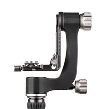 BENRO | Aluminum Gimbal Head | GH2N