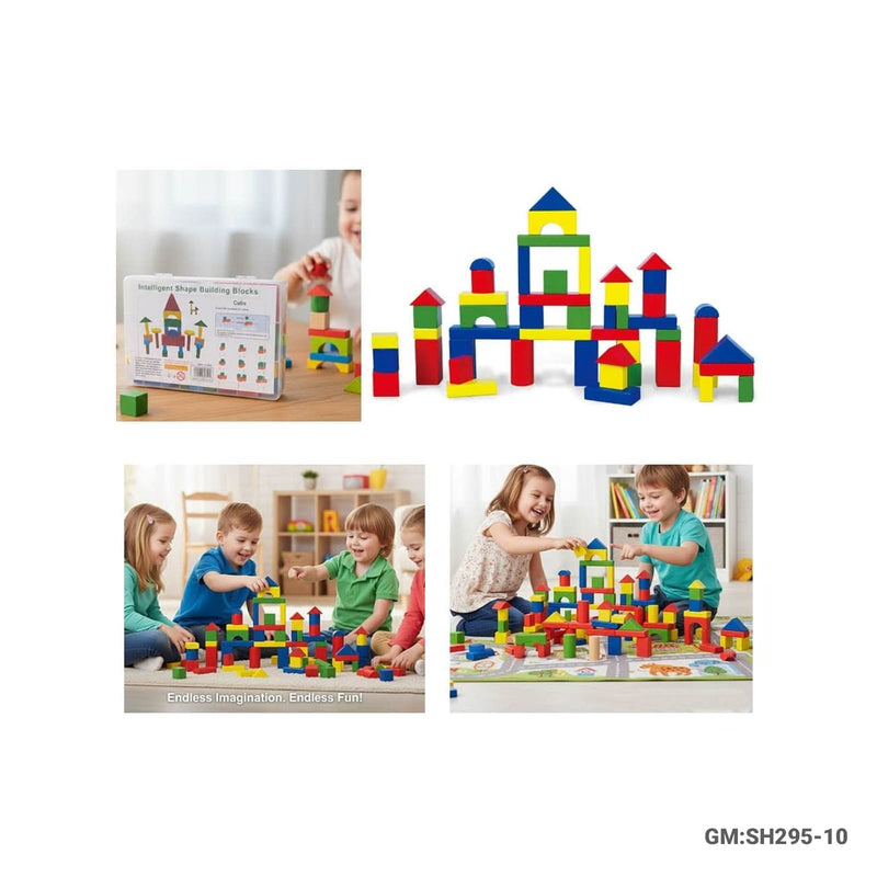Intelligent Shape Building Blocks Cubes Toys | sh295-10