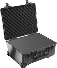 PELICAN | Protector Case | 1560-000-110