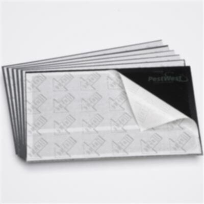 PESTWEST | Black Cardboard Sticky Boards (pack of 6) | PST-FLY-ANC-900-044