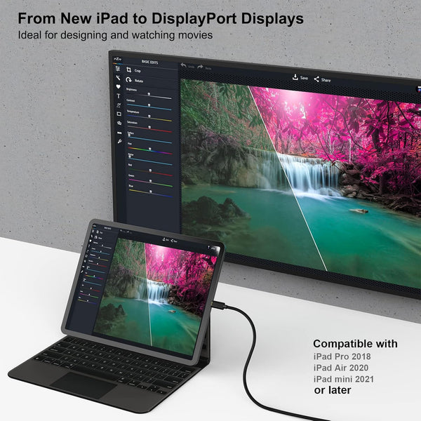 BENFEI | USB C to DisplayPort 3 Feet Cable | 000128black-3f