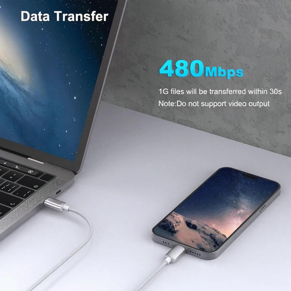 BENFEI | USB C to USB C Cable 100W 1M | 000351silver-1M