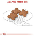 ROYAL CANIN | Mini Adult Dog Food 4 Kg