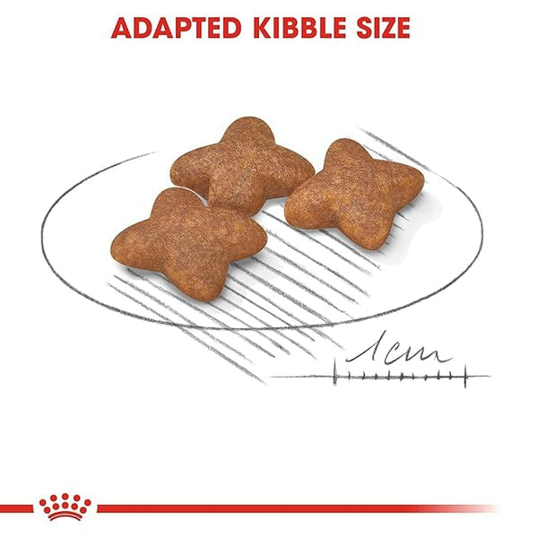 ROYAL CANIN | Mini Adult Dog Food 4 Kg