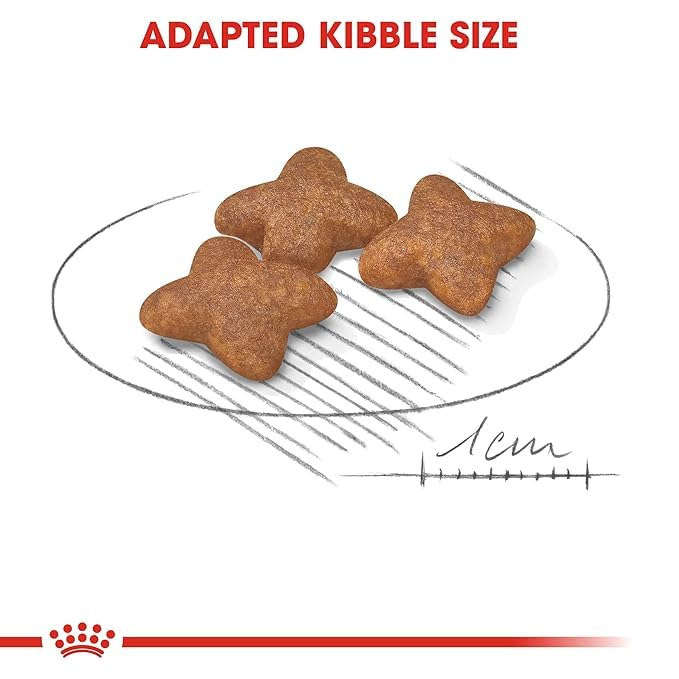 ROYAL CANIN | Mini Adult Dog Food 4 Kg