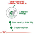 ROYAL CANIN | Mini Adult Dog Food 4 Kg