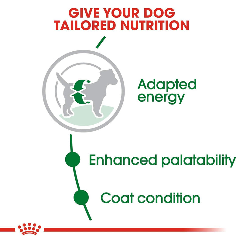ROYAL CANIN | Mini Adult Dog Food 4 Kg