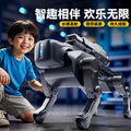 Ai Intelligent Mechanical Dog Toy Black | GLT002