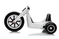 FITAAC | Electric Tricycle 24V4.5A*1+2M 550*2 | XMX635