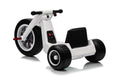FITAAC | Electric Tricycle 24V4.5A*1+2M 550*2 | XMX635