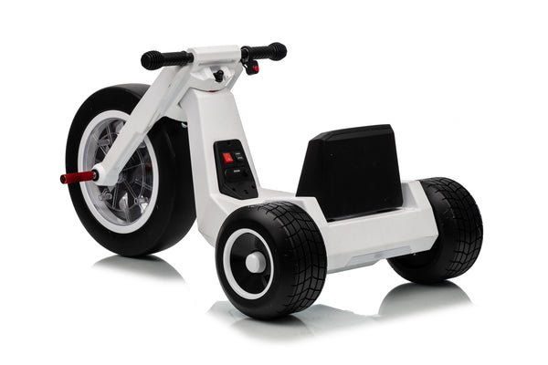 FITAAC | Electric Tricycle 24V4.5A*1+2M 550*2 | XMX635