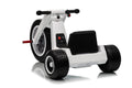 FITAAC | Electric Tricycle 24V4.5A*1+2M 550*2 | XMX635