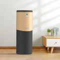 AVICHE | Super Air Purifier Y10A