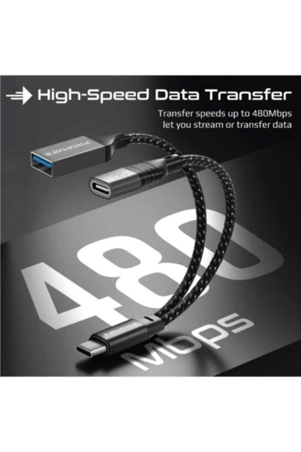 PROMATE | 2-In-1 USB-C OTG Cable With USB-A And USB-C Connectivity | TE0181271