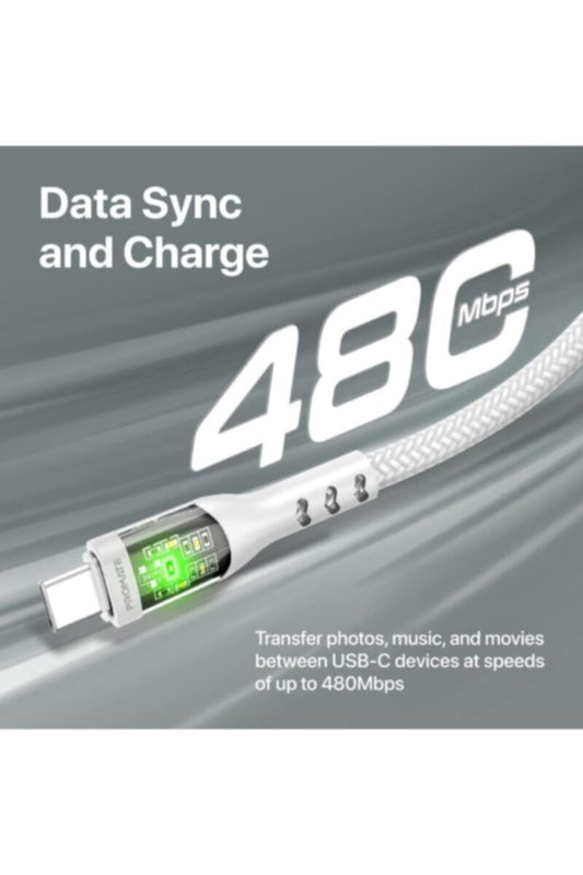 PROMATE | USB-C to USB-C Tranparent Serires With Gold Plated Connector White | TE0201549