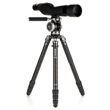 BENRO | Mammoth Carbon Fiber Tripod with WH15 Wildlife Head | TMTH44CWH15