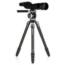 BENRO | Mammoth Carbon Fiber Tripod with WH15 Wildlife Head | TMTH44CWH15
