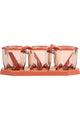 ROYALFORD | 3Pc Spice Jar Set-300ml 1x48 | RF10330