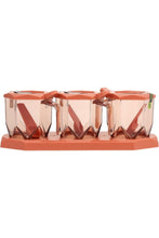 ROYALFORD | 3Pc Spice Jar Set-300ml 1x48 | RF10330