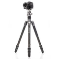BENRO | Rhino Carbon Fibre 4 Section Tripod | FRHN24C