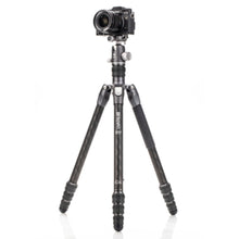 BENRO | Rhino Carbon Fibre 4 Section Tripod | FRHN24C