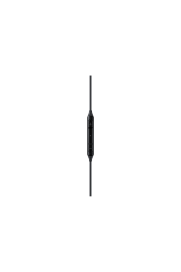 SAMSUNG | Type-C Earphone-Black | EO-IC100BBEGAE