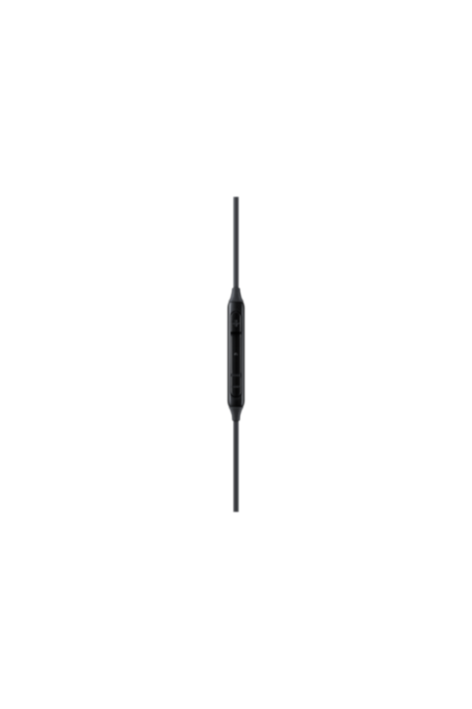 SAMSUNG | Type-C Earphone-Black | EO-IC100BBEGAE