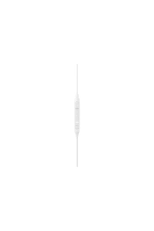 SAMSUNG | Typec Earphone-White | EO-IC100BWEGAE