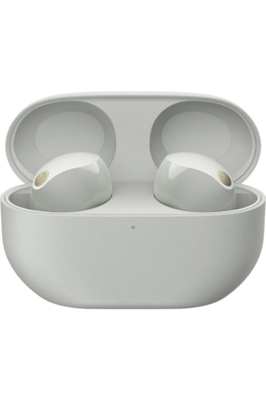 SONY | Wireless The Best Noise Cancelling Earbuds Silver | WF-1000XM5/SILVER