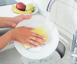 SPOTZERO | Sponge Scrub 3pc | SZR-0257