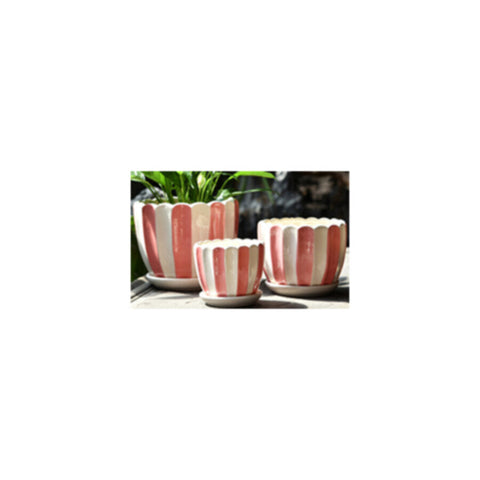 Table Ceramic Pot for Plants Single | 10cm X 10cm