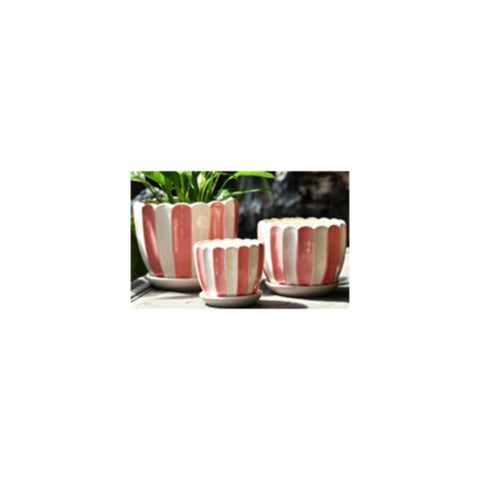 Table Ceramic Pot for Plants Single | 10cm X 10cm