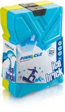 Ice Bricks 600ml 2Pcs Set | TPX-9002