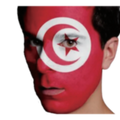 Quick Face Painting Kit with Brush (3 Packets) | TunisiaÂ |Â Minagination