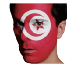 Quick Face Painting Kit with Brush (3 Packets) | TunisiaÂ |Â Minagination