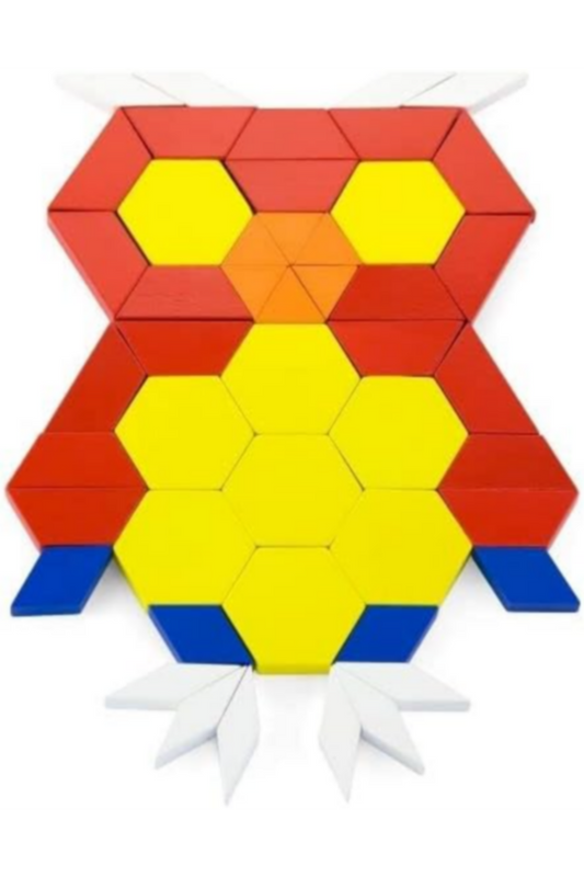 VIGA | Wood Pattern Blocks 250 Pcs | 50065
