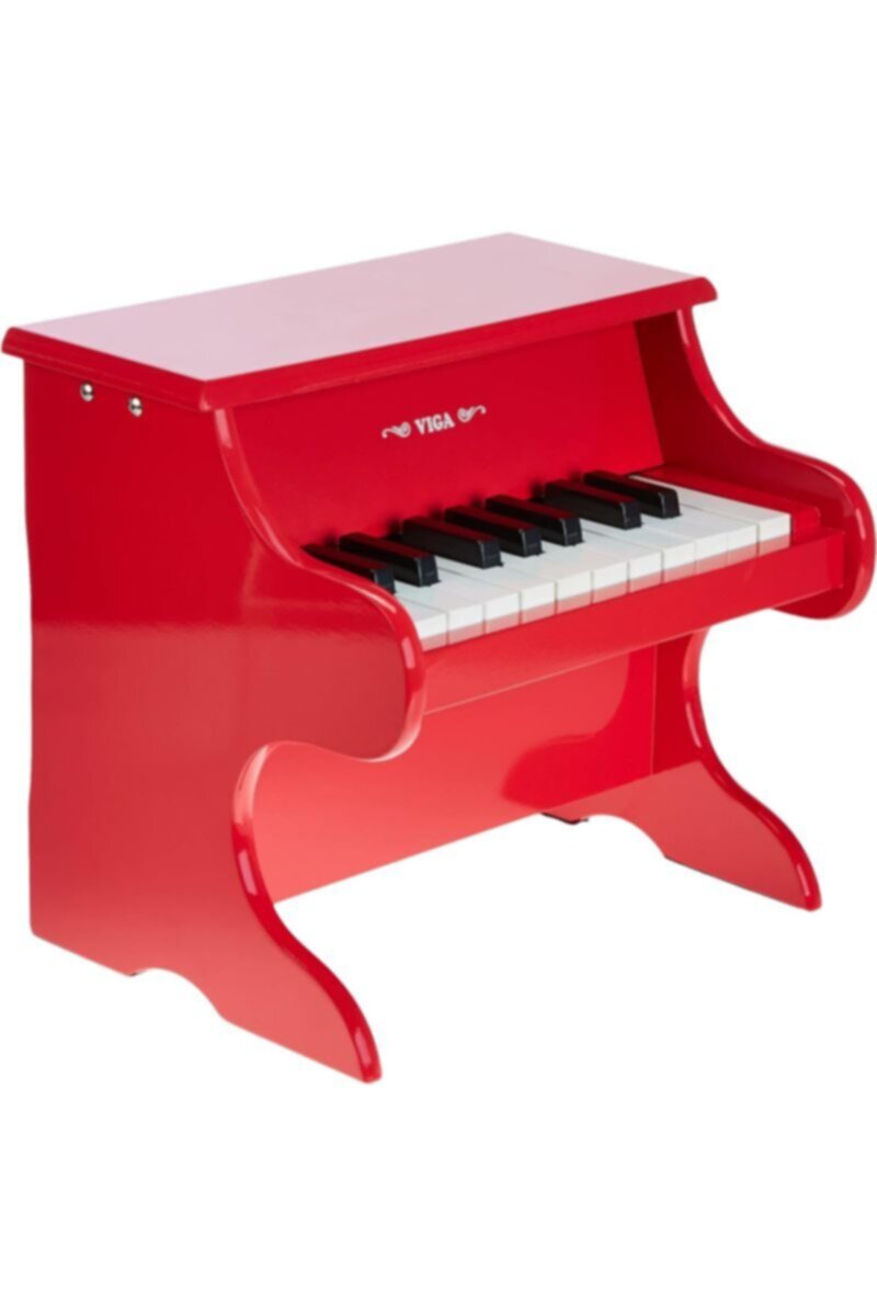 Musical Toys & Instruments