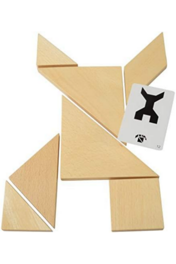 VIGA | Puzzle Tangram Challenging Educational Toy For Kids Ages 3+ Yrs | 56301FSC