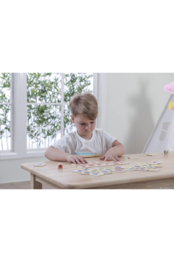 VIGA | Wooden Learning Colours Puzzle For Kids Ages 3+ Yrs | 44505