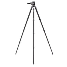 BENRO | Mammoth Carbon Fiber Tripod with WH15 Wildlife Head | TMTH44CWH15