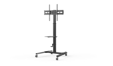 ZENAN | TV Stand with Caster Wheel | ZTS-TP0028B